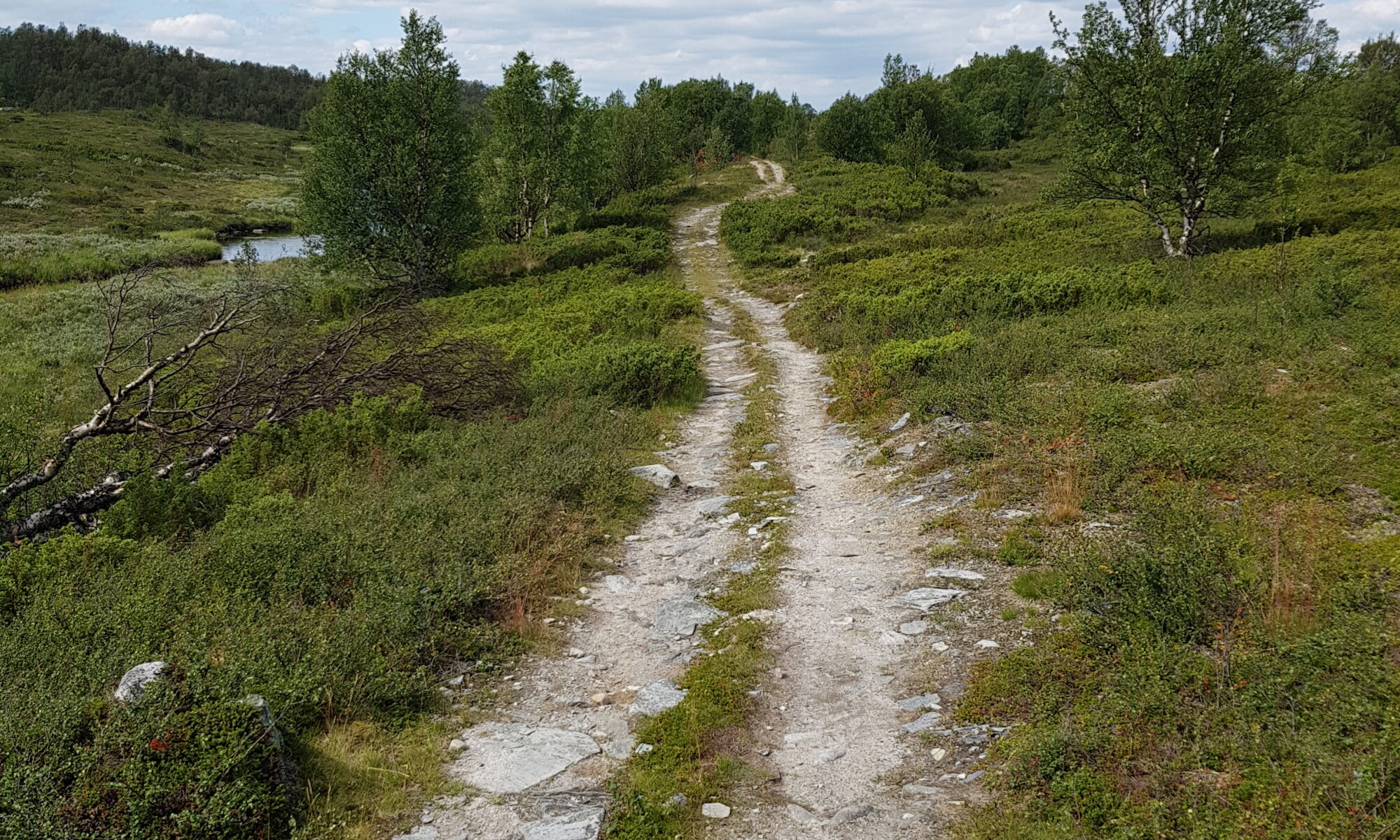 På livets väg