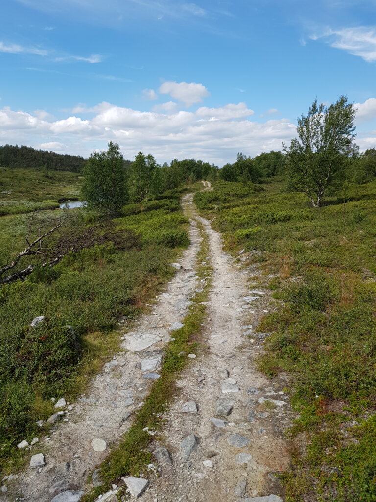 På livets väg